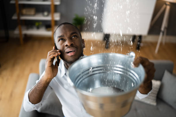 Best Sewage cleanup and water damage restoration  in Martins Ferry, OH