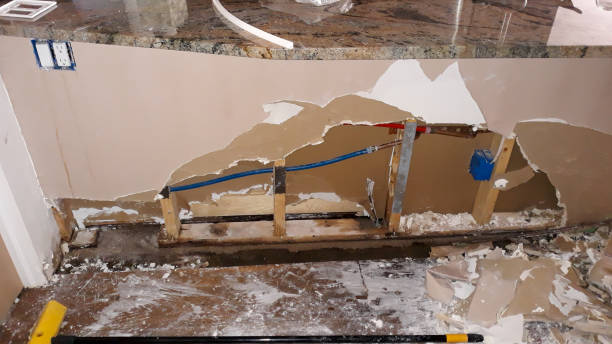 Best Ceiling water damage repair  in Martins Ferry, OH
