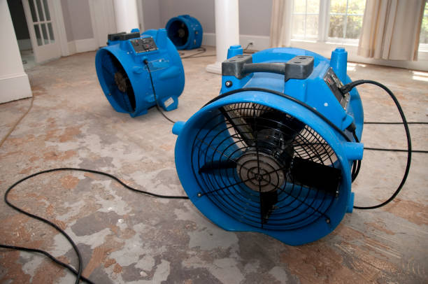 Trusted Martins Ferry, OH Water damage restoration Experts