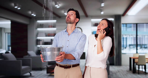 Best Emergency water damage restoration  in Martins Ferry, OH